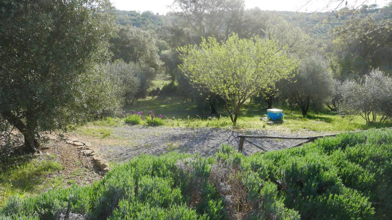 Tenuta Le Mandorlaie, Agriturismo In Scansano Exterior foto