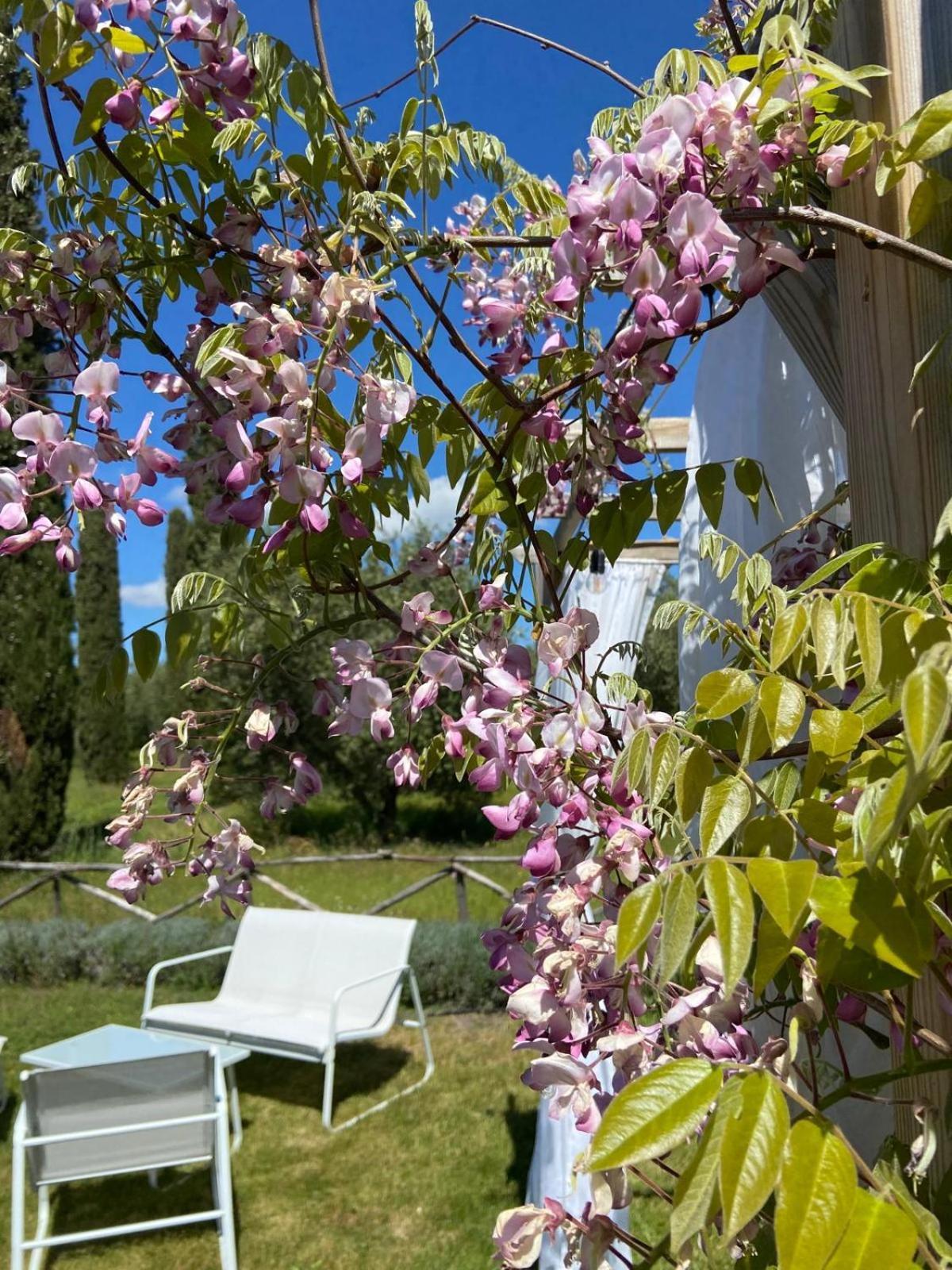 Tenuta Le Mandorlaie, Agriturismo In Scansano Exterior foto