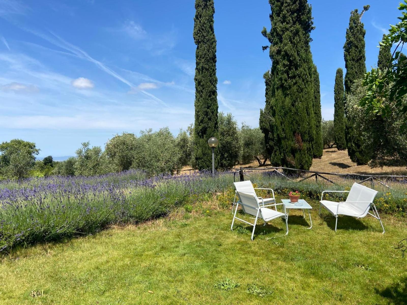 Tenuta Le Mandorlaie, Agriturismo In Scansano Exterior foto