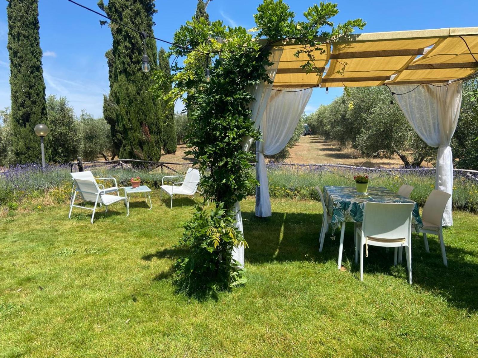 Tenuta Le Mandorlaie, Agriturismo In Scansano Exterior foto